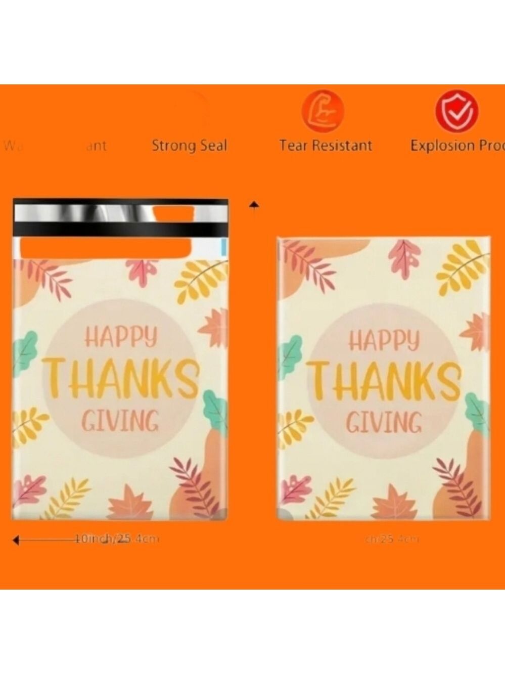 10x13 thanksgiving poly mailer #12